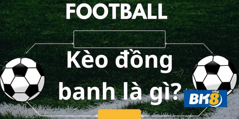 Kèo đông banh nửa trái